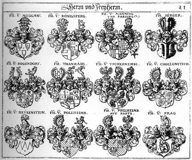 Coats of arms of Chollonitsch FH, Heusenstein FH, Joerger FH, Jörger FH, Koenigsberg FH, Königsberg FH, Künigsberg FH, Mamming FH, Meggaw FH, Mörs, Pollheim FH, Prag FH, Rogendorff FH, Thanrödl FH, Tschernemel FH