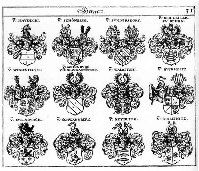 Coats of arms of Bern FH, Buchholz FH, Eylenberg FH, Glauhartenstein FH, Haydeck FH, Puechholz FH, Schleinitz FH, Schönberg FH, Schönburg FH, Schwanberg FH, Seidlitz FH, Sonderndorff FH, Sündersdorff FH, V  der Leiter FH, Waldstein FH, Wildenfels FH