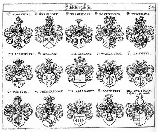 Coats of arms of Bornstedt, Buntschen, Burckhaus, Burckhausen, Burghausen, Eberhart, Eckwart, Everhard, Gregersdorff, Lestwitz, Nadelwitz, Pentzig, Popschützen, Rotenburgk, Waldaw, Wandritsch, Wermesdorff, Wernsdorff