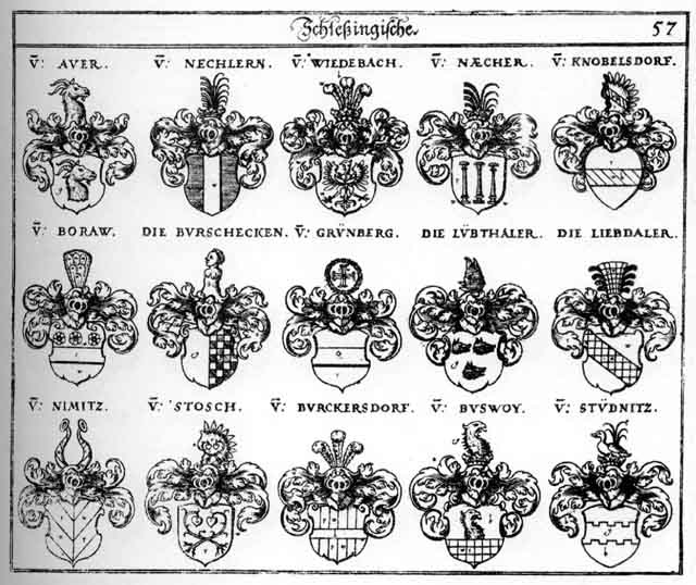 Coats of arms of Auer, Awer, Boraw, Burckersdorf, Burschecken, Buswoy, Grüenberg, Grünberg, Gryenenberg, Knobelsdorf, Liebdaler, Liebtaler, Lübthaler, Lüctbaler, Naecher, Nechlern, Nimitz, Stosch, Studnitz, Wiedebach