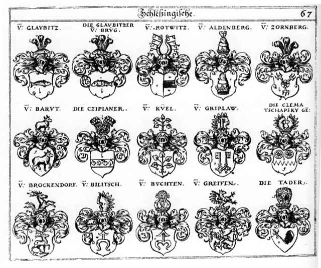 Coats of arms of Aldenberg, Altenberg, Barut, Bilitsch, Büchten, Clema, Cziplaner, Glaubitz, Glaubitzer, Greiff, Greiffen, Griplaw, Küel, Rotwitz, Tader, Tschapsky, Zornberg