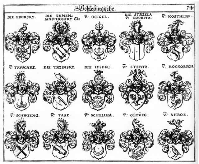 Coats of arms of Gefüeg, Janschofzky, Jeser, Khroë, Kochorsch, Kosthligk, Odorsky, Ogigel, Ohmen, Rockitz, Scheliha, Schellia, Schweidig, Stertz, Stryzela, Tase, Truschke, Trzinsky