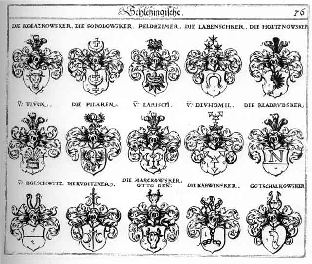 Coats of arms of Bolschwitz, Dlühomil, Gotschalkowsker, Holtznowsker, Karwintzer, Kladrubsker, Kolazkowsker, Labenschker, Larisch, Otto, Peldrzimes, Pilaeren, Ruditzker, Sokolowskev, Tlück