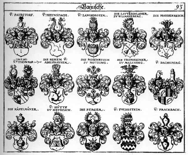 Coats of arms of Behem, Bergen, Berger, Fronheim, Fronheimer, Fuchsstein, Haidenreich, Haydenreich, Heidenreich, Heynspach, Kaepfflmänner, Käpfflmänner, Lanckhofen, Lautenschlaher, Payrsdorff, Perger, Prackbach, Rosenbusch, Thonno