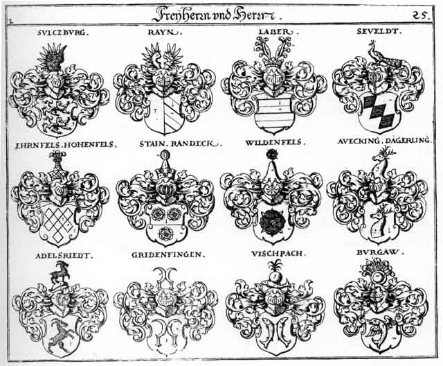 Coats of arms of Adelsriedt FH, Avecking FH, Burgau FH, Dägerling FH, Hohenfels FH, Laber FH, Randeck FH, Rayn FH, Stain FH, Sultzburg FH, Vischbach FH, Wildenfels FH