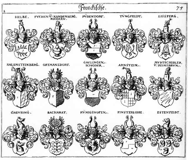 Coats of arms of Arnstein, Bacharät, Estenfeld, Finsterlohe, Fuchs, Fuchsen, Gailingen, Gayling, Gaylingen, Geilingen, Greusing, Gridenfingen FH, Helbe, Kalbensteinperg, Kandenberg, Königshof, Kunigshofen, Lissberg, Modtscidtler, Mudtschidler, Ortmannsdorff, Püdendorf, Riedern, Schoder, Tungfeldt