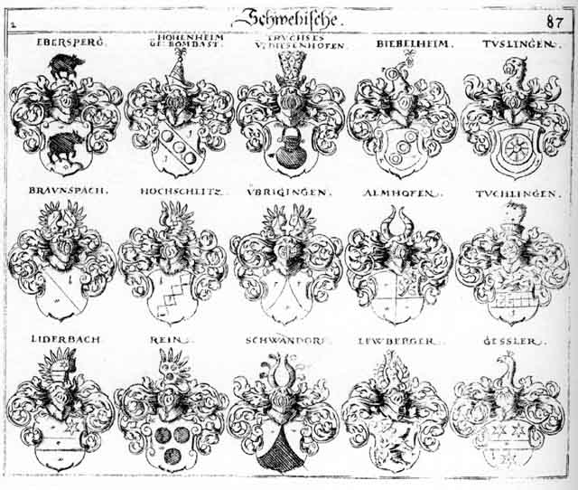 Coats of arms of Almhofen, Biebelheim, Bombast, Braunscbach, Brauspach, Ebersperg, Gessler, Hochschlitz, Hohenheim, Lewberger, Liederbach, Rein, Reine, Rhein, Schwandorff, Truchsesen, Tuchlingen, Tuslingen, Ubrigingen
