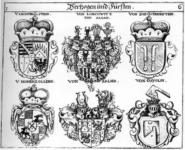 Coats of arms of Badenweiler, Dietrichstein Fürst, Furft, Hohenzollern HF, Lichtenstein, Liechtenstein, Lobkowitz HF, Ossolin HF, Sagan HF, Salm HF, Salmb HF