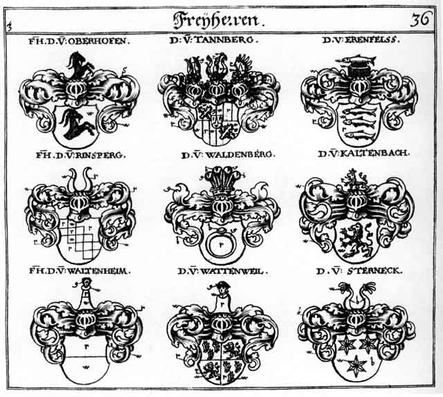 Coats of arms of Kaltenbach FH, Oberhofen FH, Rinsperg FH, Sterneck FH, Tannberg FH, Thannenberg FH, Waldenberg FH, Waltenheim FH, Wattenweil FH