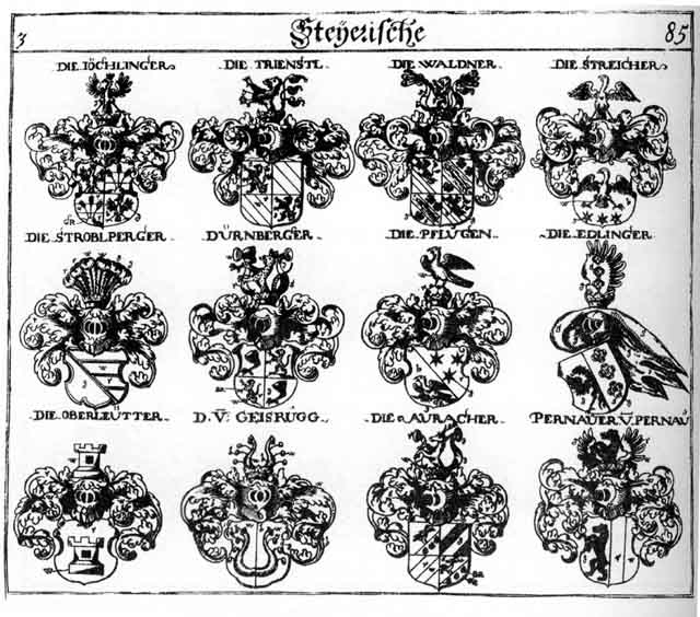 Coats of arms of Auracher, Bernau, Dürnberger, Dürnperger, Edlinger, Geisrugg, Graeffenburg FH, Jochlinger, Joechlinger, Oberleutter, Pernauer, Pflug, Pflugen, Streicher, Strobelberger, Stroblberger, Trienstl, Waldner