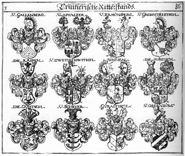 Coats of arms of Apfalter, Aynkirn, Einkir, Gallenberg, Grebentschitsch, Guraltilch, Gusitsch, Juritsch, Obernburg, Rasp, Raspen, Scheyer, Turitsch, Zwetkowiisch