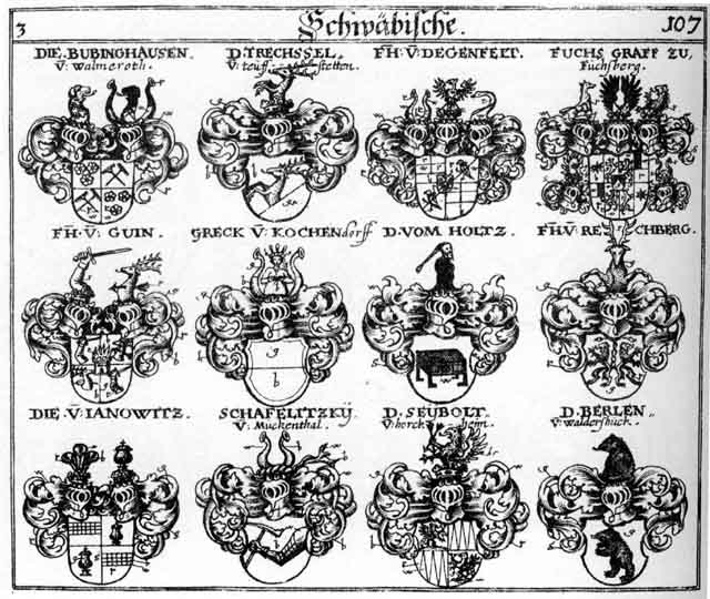 Coats of arms of Berlen, Bubinghaufen, Buwinckhausen, Degenfeldt FH, Fuchs, Fuchs, Fuchsen, Greck, Grecken, Guin FH, Holtze, Holtzer, Janowitz, Rechberg FH, Schafelitsky, Seyboldt, Seyboldten