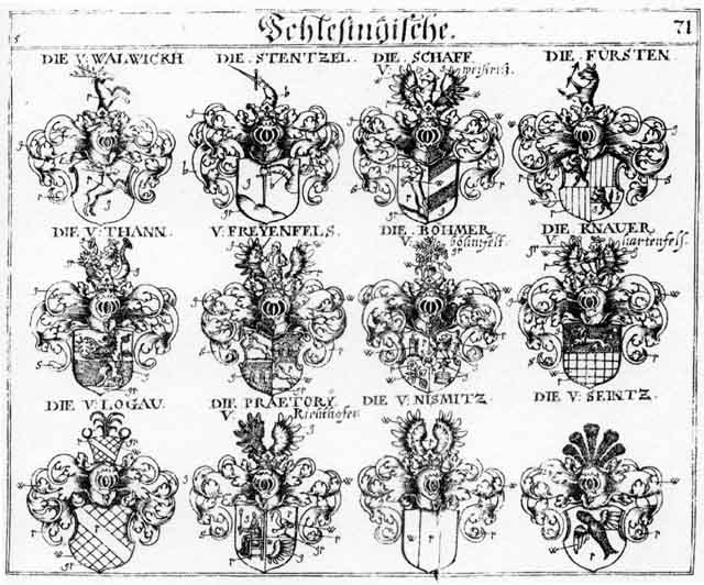 Coats of arms of Boehmer, Böhmer, Freyenfels, Fürst, Fürsten, Knauer, Logaw, Nismitz, Pömer, Praetorii, Schaff, Seintz, Stentzel, Tann, Thann, Walwickh