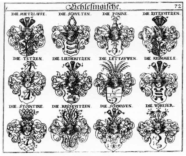 Coats of arms of Brysewitzen, Krummel, Kryminele, Lettauwen, Liederitzen, Ponine, Schulten, Schwab, Schwaben, Schwaven, Stointine, Tetzen, Wobeser, Zitzewitzen