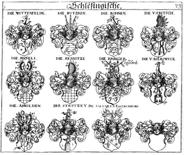 Coats of arms of Arnold, Arnolden, Arnolt, Boehnen, Böhnen, Butzken, Fritsch, Fritschen, Goetzen, Götzen, Kernitze, Kolkowitz, Kringer, Museli, Salvart, Strutzky, Wittenfelde